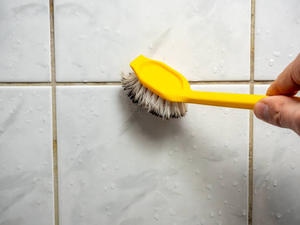 Office Mold Removal Services in Brodhead, KY