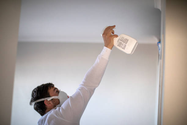 Best Best Mold Removal Companies  in Brodhead, KY