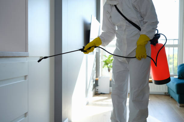 Best Office Mold Removal Services  in Brodhead, KY