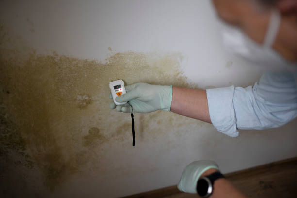 Water Damage Restoration in Brodhead, KY