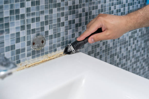 Best Affordable Mold Removal  in Brodhead, KY